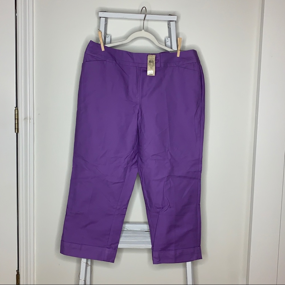 Ann Taylor Cropped Pant